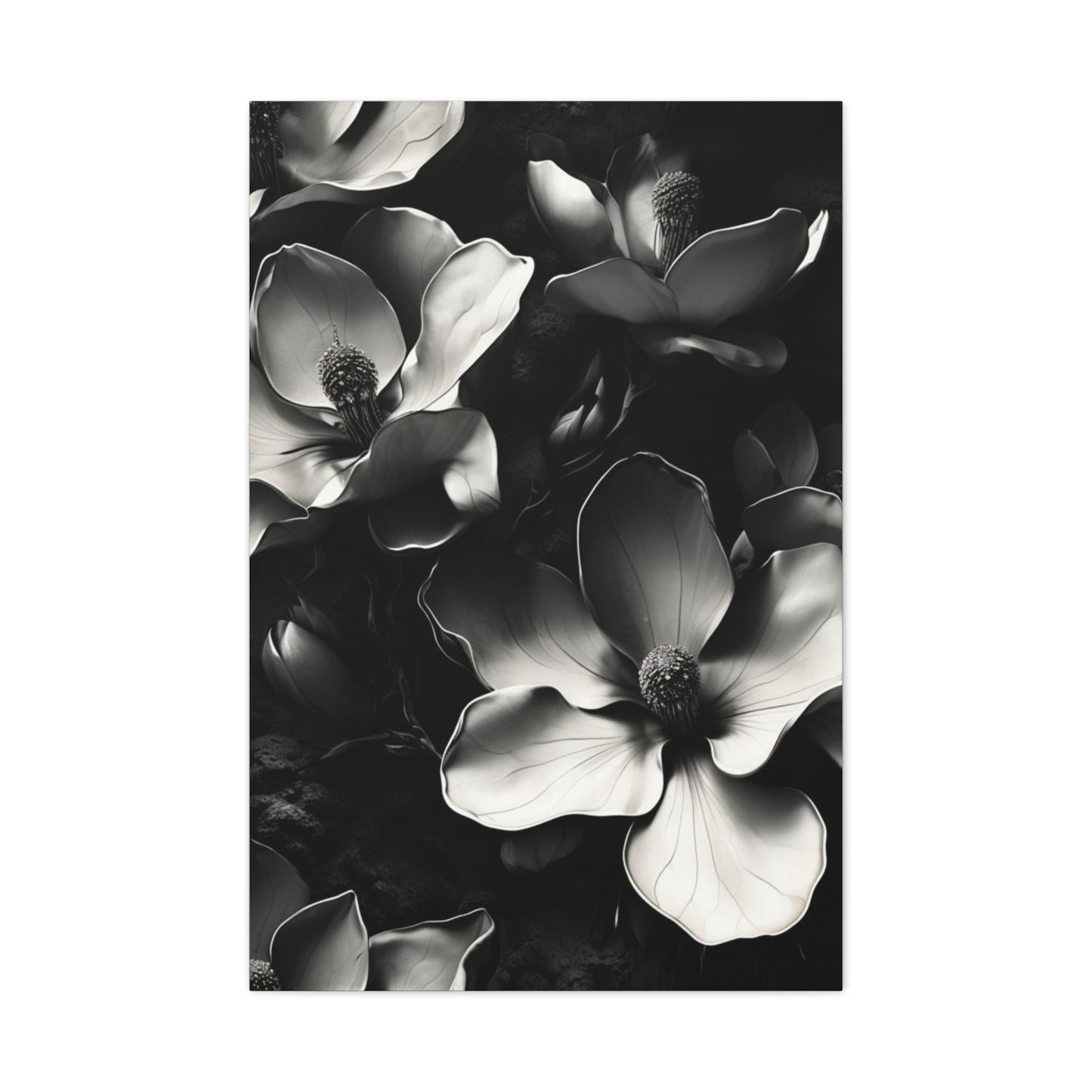 Monochrome Magnolia wall art canvas featuring black and white magnolia blossoms in a dramatic botanical composition