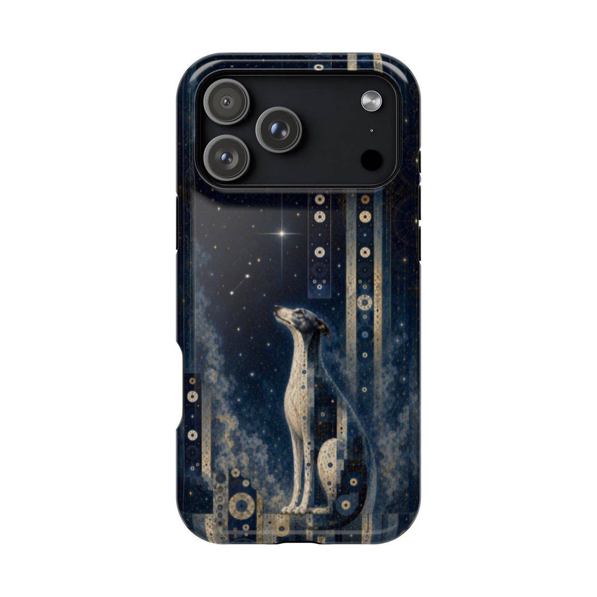 Sapphire Guardian iPhone MagSafe Case