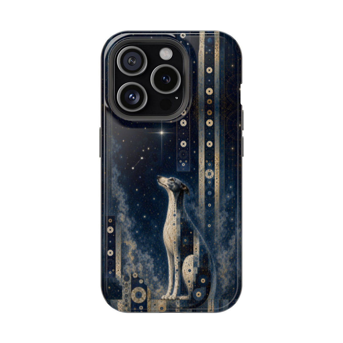 Sapphire Guardian iPhone MagSafe Case